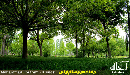 نتیجه تصویری برای کشاورزی و دامداری گلپایگان