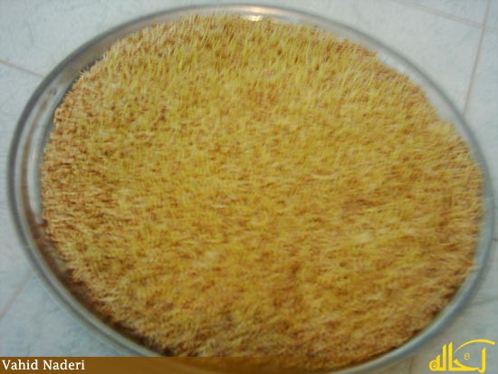 گالري عكس گلپايگان