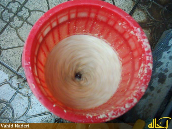 گالري عكس گلپايگان
