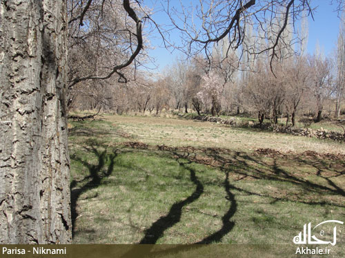 تصاویر روستای باصفای وانشان