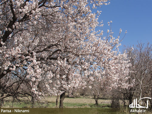 تصاویر روستای باصفای وانشان