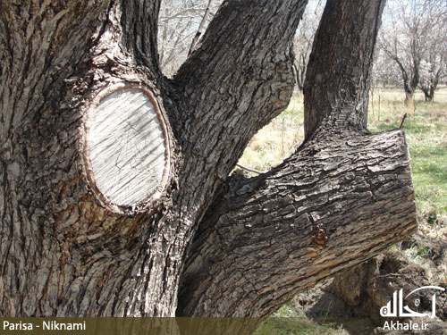 تصاویر روستای باصفای وانشان