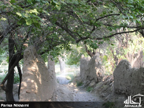 تصاویر روستای باصفای وانشان