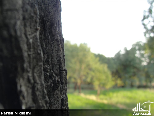 تصاویر روستای باصفای وانشان