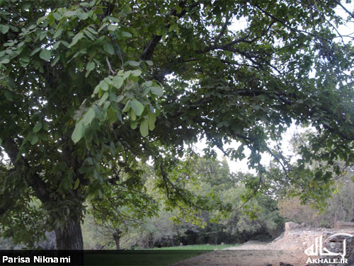 تصاویر روستای باصفای وانشان