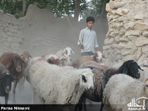 تصاویر روستای باصفای وانشان