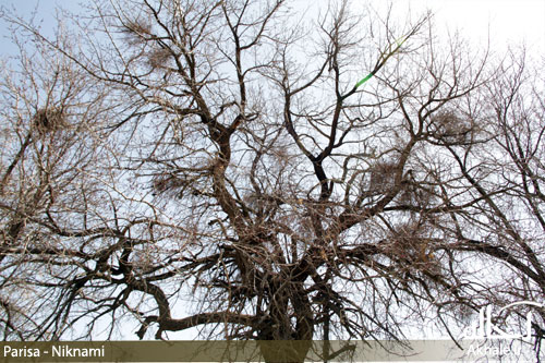 تصاویر روستای باصفای وانشان