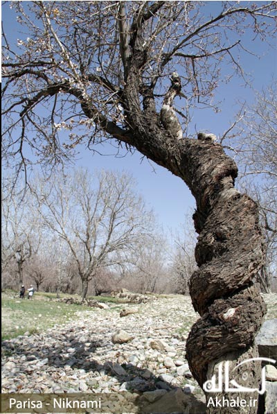 تصاویر روستای باصفای وانشان